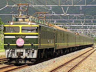 寝台特急「トワイライトエクスプレス」 EF81型0番台 トワイライト色 (EF81-44) JR北陸本線 新疋田