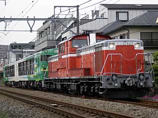 DD51型800番台 一般色 (DD51-842) JR青梅線 東青梅〜河辺 DD51-842