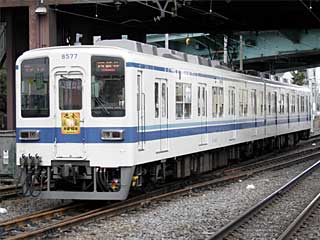 8000系 更新車青帯 (8577) 東武大師線 西新井