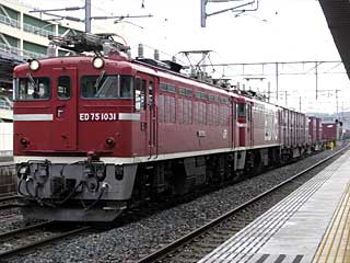 ED75型1000番台 裾白帯 (ED75-1031) JR東北本線 八戸 ED75-1031