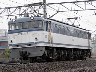 EF65型0番台 一般色 (EF65-127) JR武蔵野貨物線 新鶴見〜府中本町