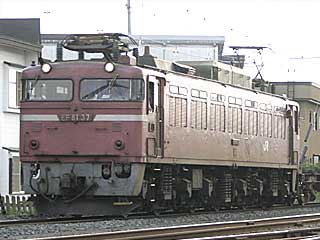 EF81型0番台 一般色 (EF81-37) JR奥羽本線 新青森〜青森 EF81-37