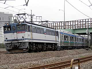 EF65型1000番台 貨物色赤プレ (EF65-1065) JR武蔵野貨物線 新鶴見〜府中本町