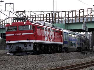 EF81型0番台 レインボー色 (EF81-95) JR武蔵野貨物線 新鶴見〜府中本町 EF81-95