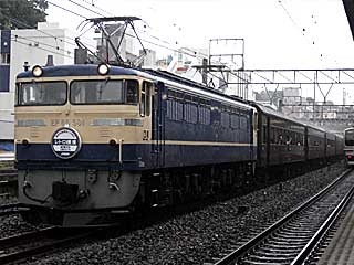 快速「レトロ横濱」 EF65型500番台 特急色 (EF65-501) JR東海道本線 戸塚〜横浜