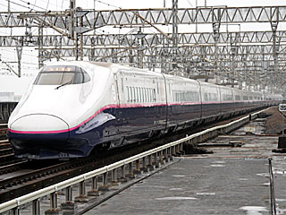 特急「やまびこ」 E2系0番台 はやて色 (E223-21) JR東北新幹線 大宮
