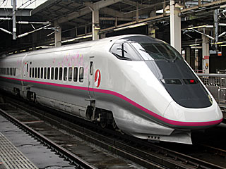 E3系0番台 こまち車 (E322-21) JR東北新幹線 大宮