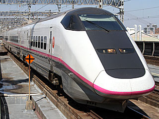 E3系0番台 量産先行車 (E311-16) JR東北新幹線 大宮 R1編成
