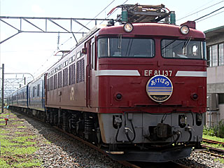 EF81型0番台 一般色 (EF81-137) JR羽越本線 羽後本荘 EF81-37