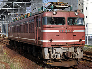 EF81型600番台 ローズピンク白帯 (EF81-715) JR北陸本線 森本 EF81-715