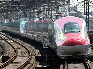 E6系0番台 スーパーこまち車 (E621-19) JR東北新幹線 大宮 Z19編成