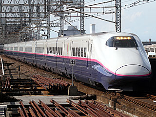 特急「とき」 E2系1000番台 はやて色 (E223-1005) JR上越新幹線 大宮 J55編成
