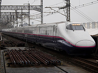 特急「とき」 E2系1000番台 はやて色 (E223-1006) JR上越新幹線 大宮 J56編成