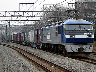 EF210型0番台 一般色 (EF210-1) JR武蔵野貨物線 府中本町 EF210-1