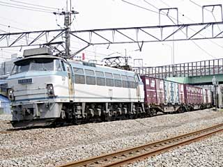 EF66型0番台 貨物色 (EF66-25) JR武蔵野貨物線 新鶴見〜府中本町 EF66-25