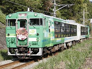 キハ48形1500番台 (キハ48-1541) JR青梅線 青梅〜宮ノ平
