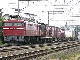 EF81型0番台 赤色 (EF81-151) JR奥羽本線 新青森〜青森 EF81-151