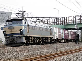 EF66型0番台 一般色 (EF66-20) JR武蔵野貨物線 新鶴見〜府中本町 EF66-20