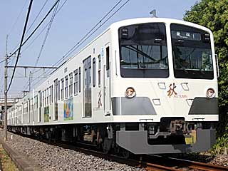 新101系 秋AUTUMNラッピング車 (1252) 西武多摩川線 白糸台〜競艇場前