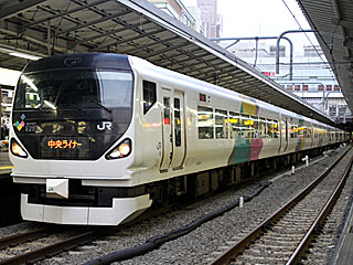 「中央ライナー」 E257系0番台 あずさかいじ車 (クハE256-9) JR中央本線 新宿
