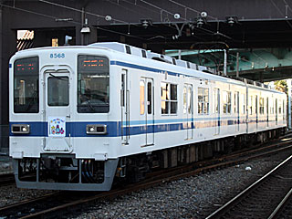 8000系 更新車青帯 (8568) 東武大師線 西新井