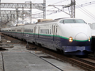 200系1000番台 リニューアル車緑帯 (221-1003) JR上越新幹線 大宮