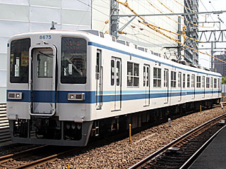 8000系 更新車青帯 (8675) 東武亀戸線 曳舟