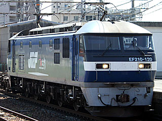 EF210型100番台 一般色 (EF210-120) JR東海道本線 彦根 EF210-120