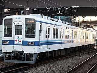 8000系 更新車青帯 (8575) 東武大師線 西新井 8575F