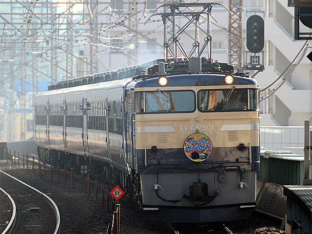 快速「EL＆SLみなかみ」 EF65型500番台 一般色 (EF65-501) JR武蔵野線 武蔵浦和 EF65-501