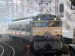 快速「EL＆SLみなかみ」 EF64型1000番台 くつろぎ色 (EF65-501) JR武蔵野線 武蔵浦和